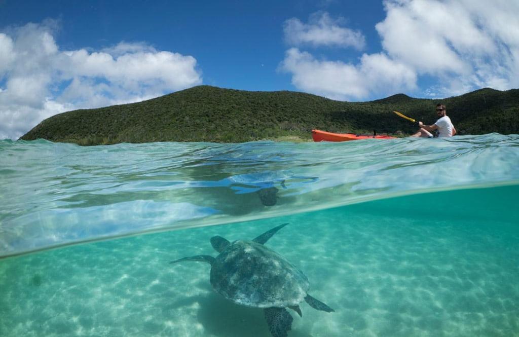 Arajilla Retreat Βίλα Lord Howe Island Εξωτερικό φωτογραφία