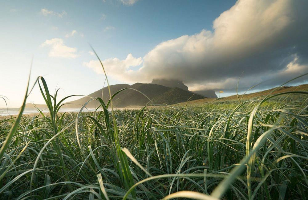 Arajilla Retreat Βίλα Lord Howe Island Εξωτερικό φωτογραφία