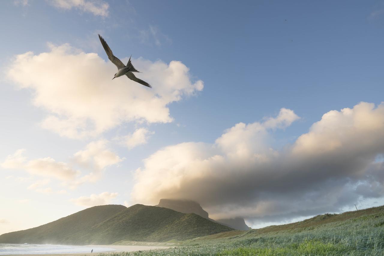 Arajilla Retreat Βίλα Lord Howe Island Εξωτερικό φωτογραφία